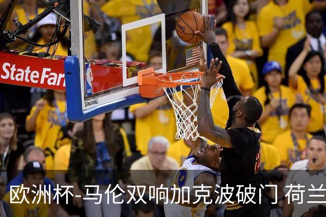 欧洲杯-马伦双响加克波破门 荷兰3-0罗马尼亚